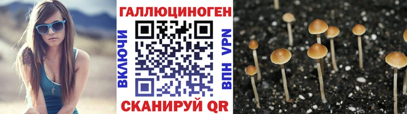кракен   Барыш  Галлюциногенные грибы мицелий  закладки 
